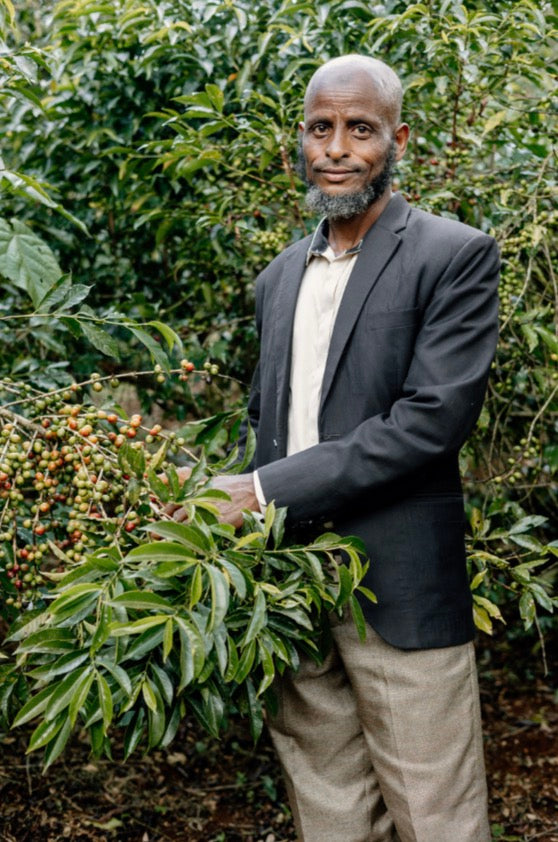 Featured Espresso of the Week — Ethiopia - Mohammed Aba Nura Natural