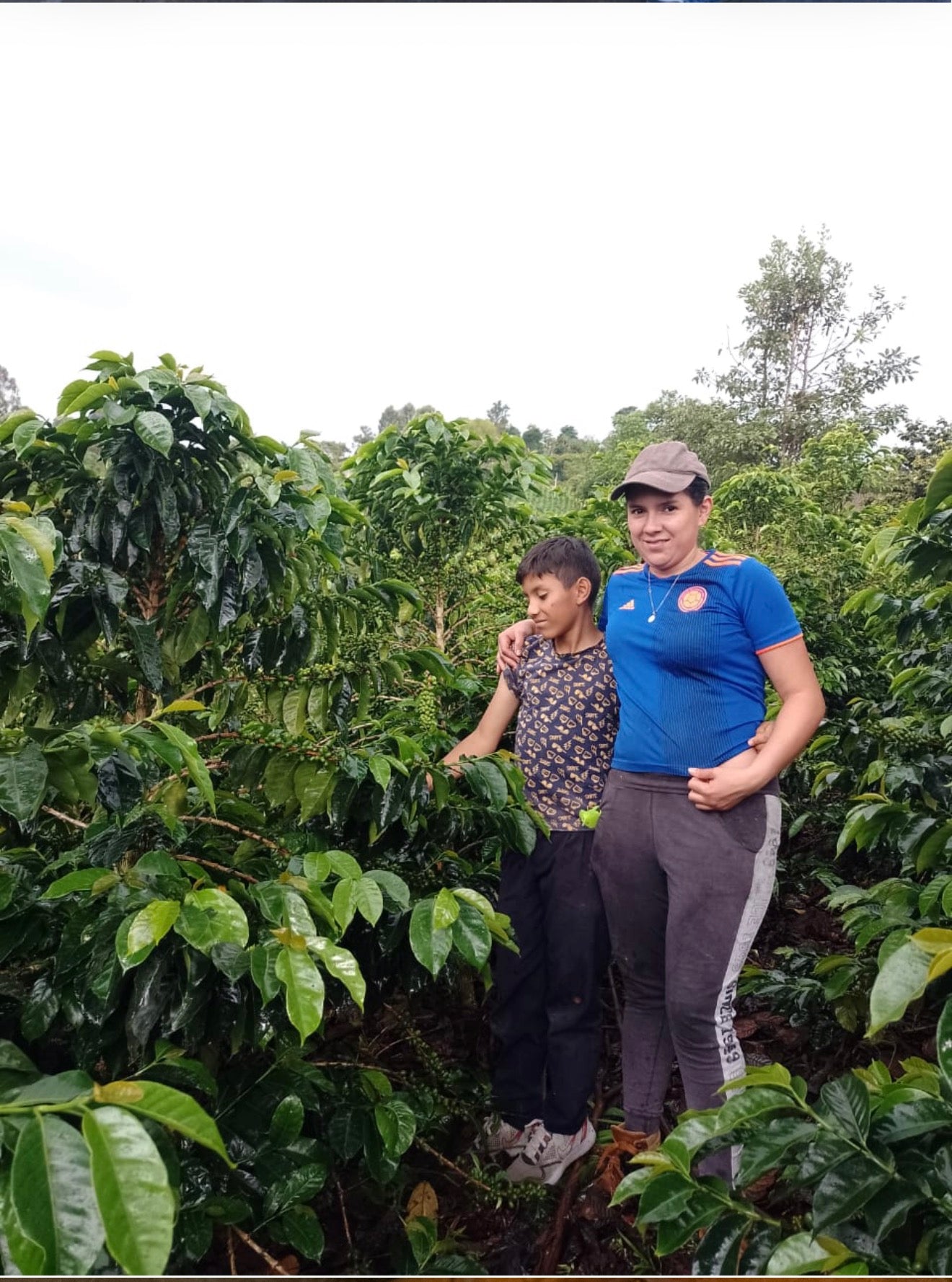 Featured Filter of the Week — Colombia - Liliano Burbano