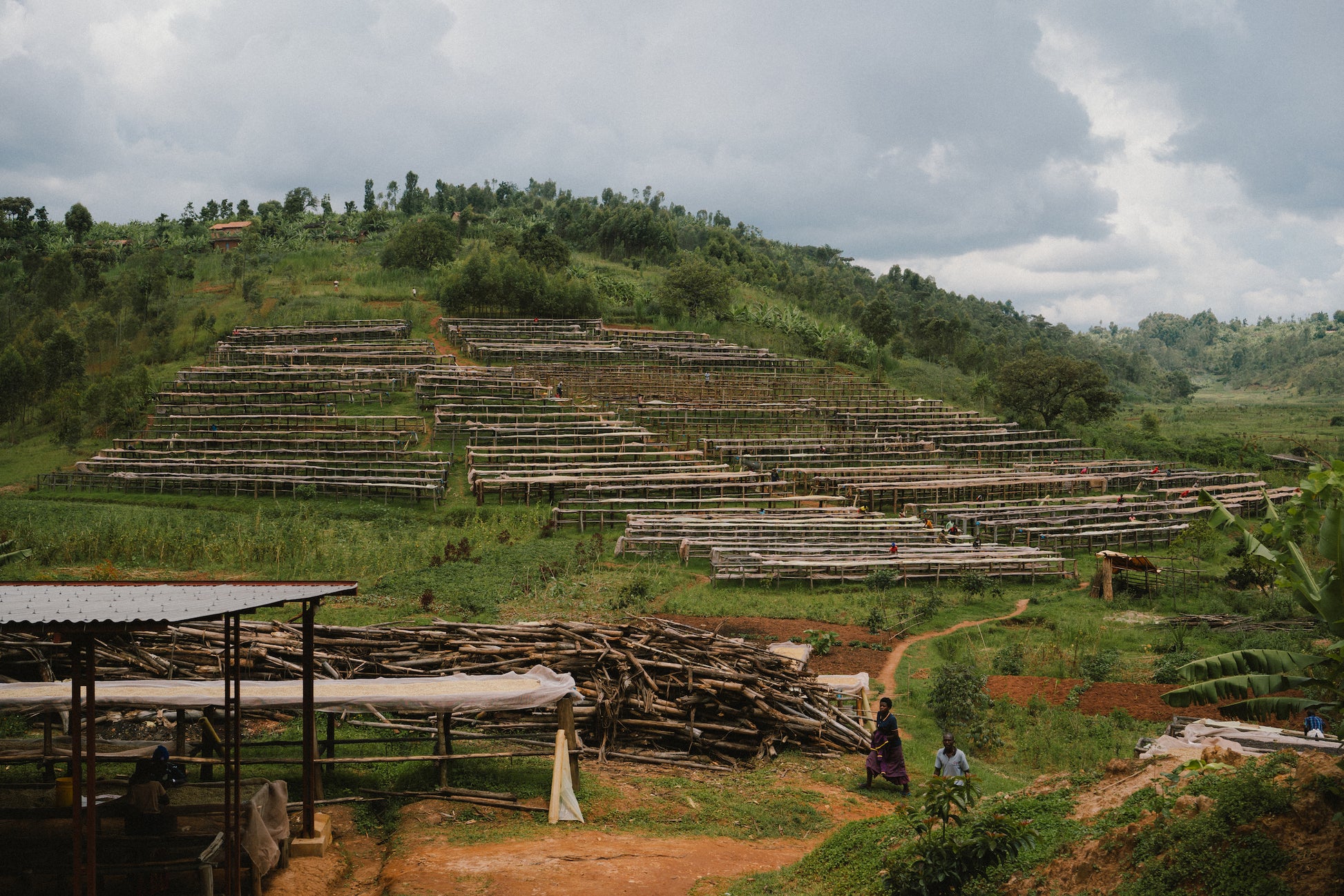 Featured Filter of the Week — Burundi - Bumba 14