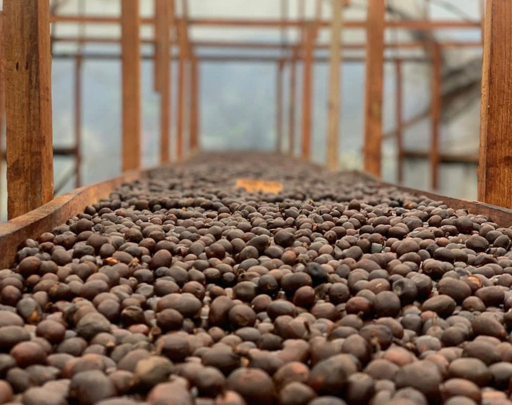 Featured Filter of the Week — Indonesia Gunung Tilu