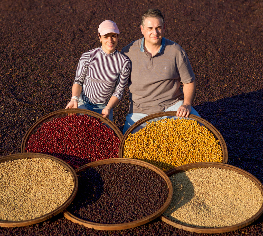 Featured Filter of the Week — Brazil - Luis Rodrigues Double Washed