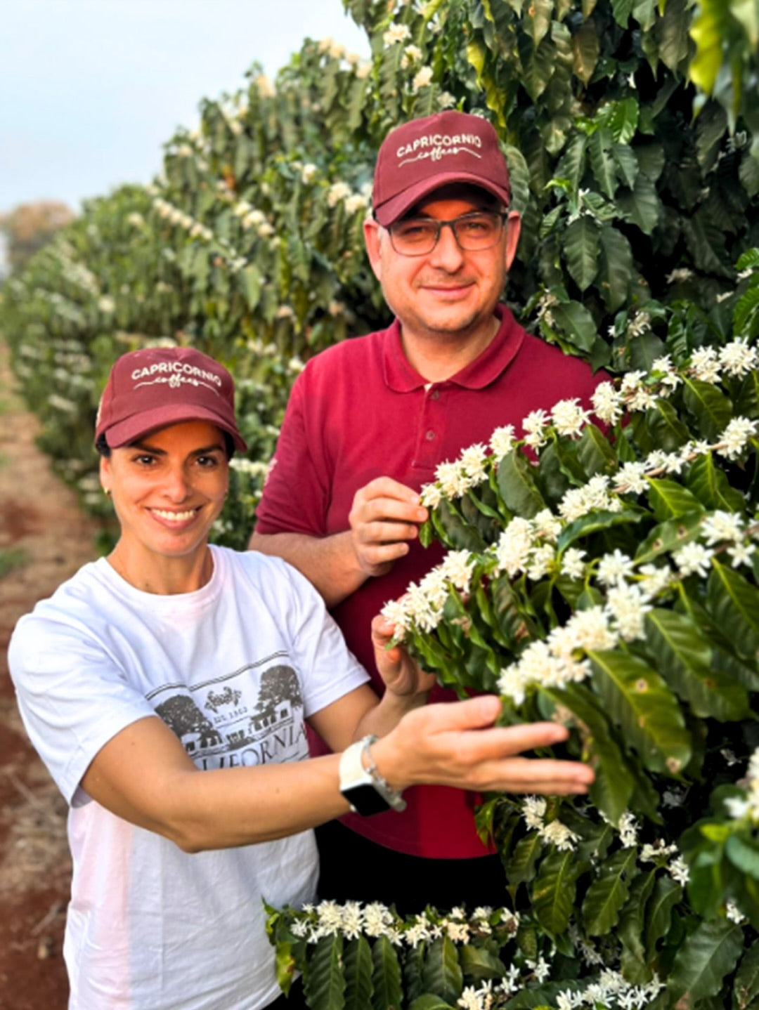 Featured Espresso of the Week — Brazil - Luis Rodrigues Double Washed