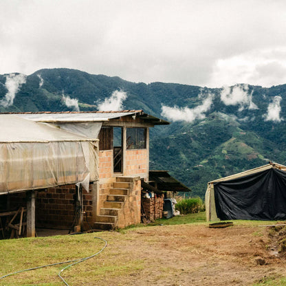 Featured Espresso of the Week — Colombia - El Diamante - Espresso