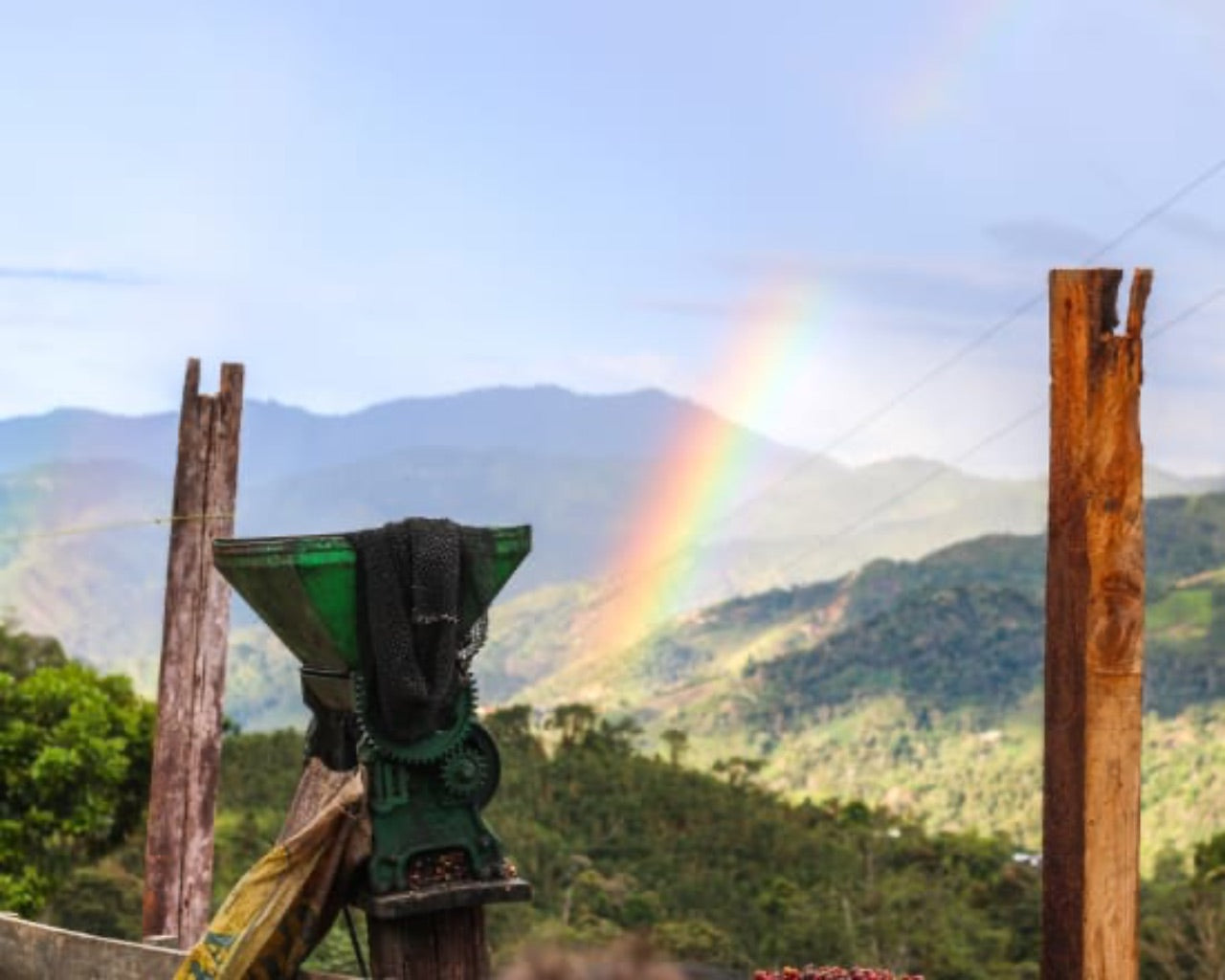 Featured Espresso of the Week — Peru Cajamarca FTO