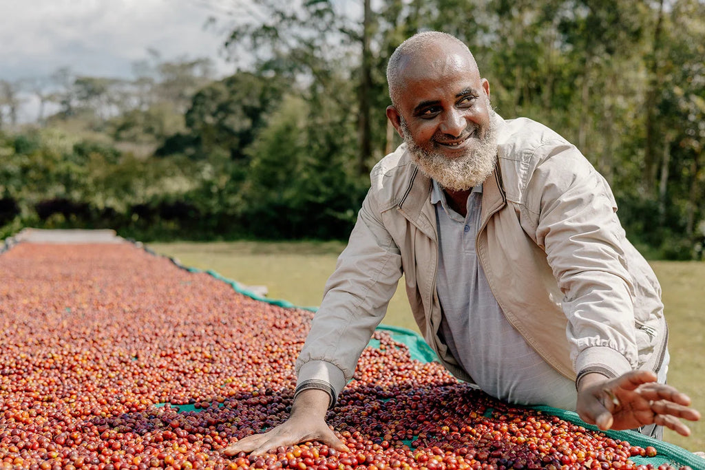 Featured Filter of the Week — Ethiopia - Mensur Abahika