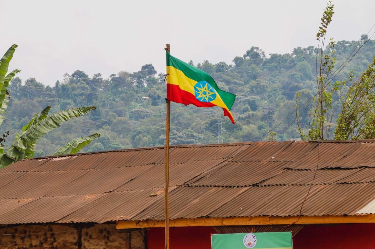 Featured Filter of the Week — Ethiopia - Banko Gotiti Grade 1 - Natural
