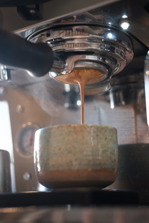 Barista Fundamentals Course