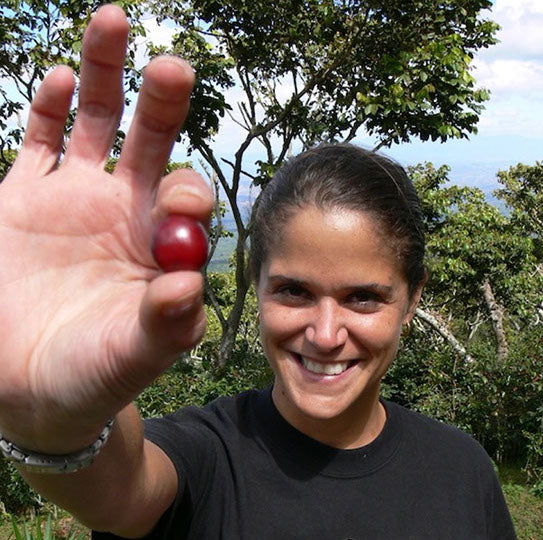 Feature filter of the week: El Salvador - Finca El Paraiso, Aida Batlle selection